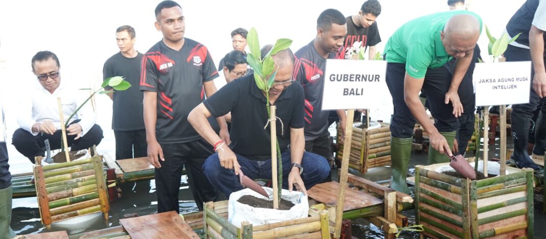 Tanam Mangrove Bersama Jamintel Kejagung dan Kejati Bali, Gubernur Koster Ajak Sinergi Tingkatkan Cakupan Ruang Hijau Bali