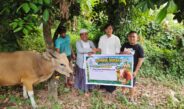 Ketua DPRD Provinsi Bali Salurkan Bantuan Sapi Qurban untuk Majelis Taklim Daarussalaam Desa Panji
