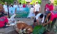 Bupati Buleleng Mengaku Terharu Tradisi Ngejot Masih Dilestarikan di Momen Idul Adha