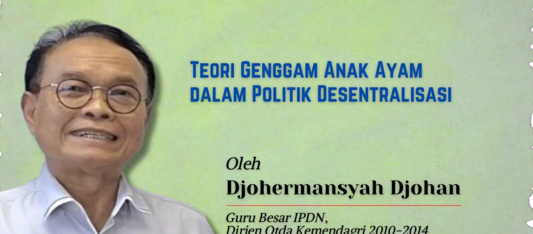 Teori Genggam Anak Ayam dalam Politik Desentralisasi