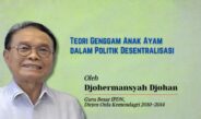 Teori Genggam Anak Ayam dalam Politik Desentralisasi
