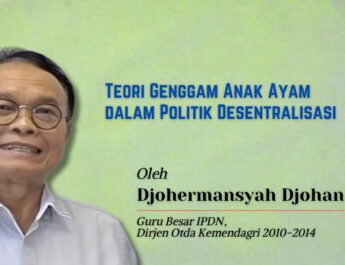Teori Genggam Anak Ayam dalam Politik Desentralisasi