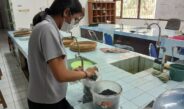 Peneliti Undiksha Hadirkan Inovasi: Nanokomposit Silika-Karbon Berbasis Sekam Padi untuk Material Maju Berkelanjutan