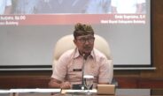 Sekda Buleleng Ajak Seluruh ASN Sukseskan Digitalisasi Perlinsos Demi Bansos Tepat Sasaran