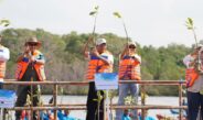 Gubernur Koster Dorong Gerakan Tanam Mangrove Setiap Bulan, Perkuat Ekosistem Pesisir Bali