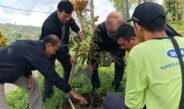 Mitigasi Perubahan Iklim, Undiksha Dorong Reforestasi dan Ekonomi Hijau di Desa Pengejaran