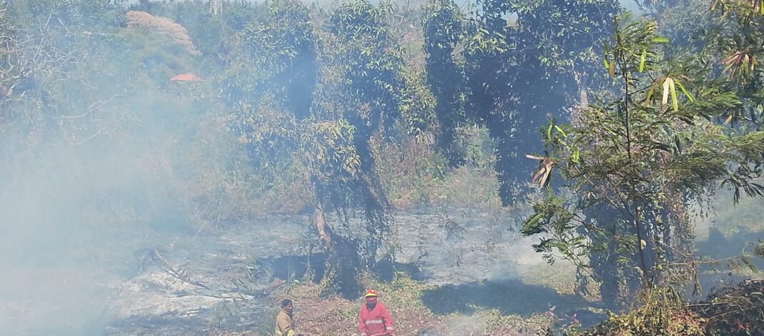 Musim Kemarau dan Angin Kencang, Damkar Buleleng Ingatkan Warga Waspadai Kebakaran