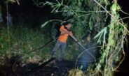 Kelalaian Warga Bakar Sampah Picu Kebakaran Lahan 50 Are di Buleleng, BPBD Minta Masyarakat Waspada