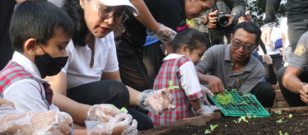 DWP Buleleng Ajak Anak TK Tanam dan Panen Sayur, Lanjut Bagikan Bibit Cabai