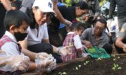 DWP Buleleng Ajak Anak TK Tanam dan Panen Sayur, Lanjut Bagikan Bibit Cabai